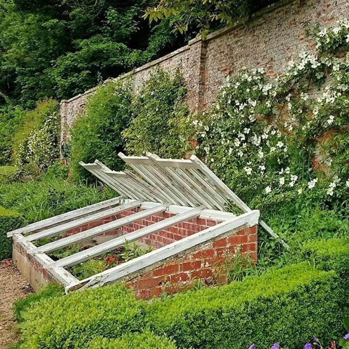 Prachtige bêden by de dacha mei har eigen hannen: 6 geweldige opsjes en 20 foarbylden mei foto's 10886_36