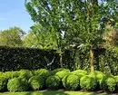 10 mejores arbustos decorativos para dar 10902_2
