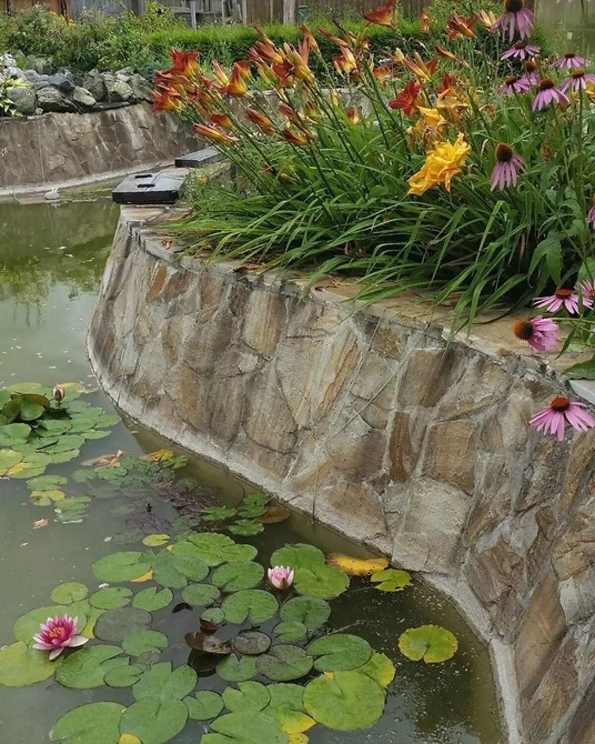 How to make a pond in the country of hand: 4 faithful ways and 30 ideas 10940_14