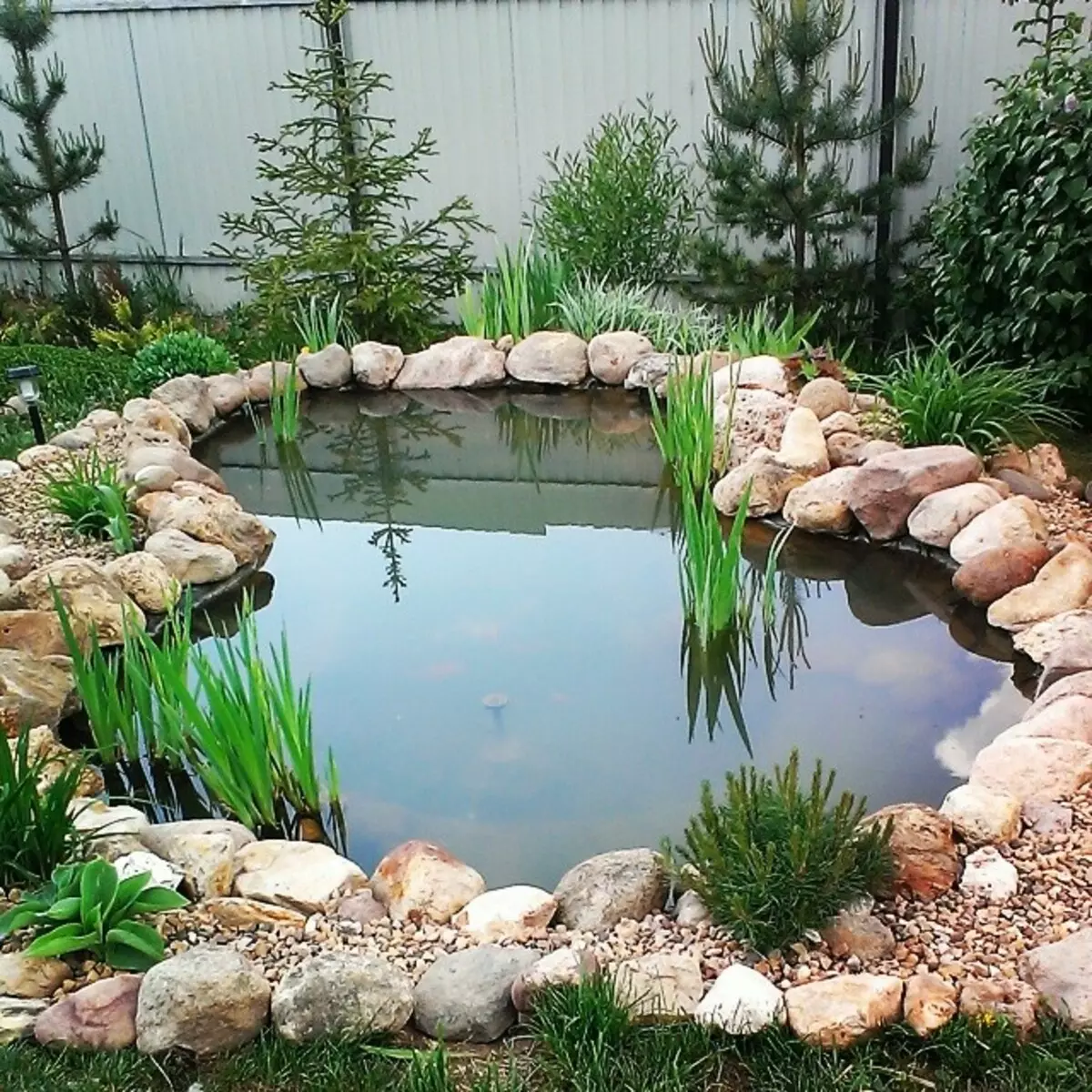 Prírodná forma rybníka