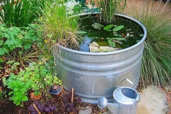 How to make a pond in the country of hand: 4 faithful ways and 30 ideas 10940_53