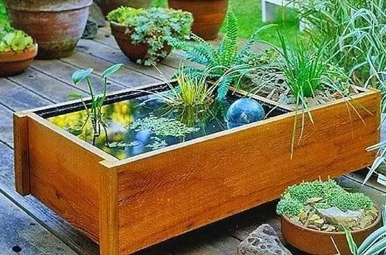 How to make a pond in the country of hand: 4 faithful ways and 30 ideas 10940_55