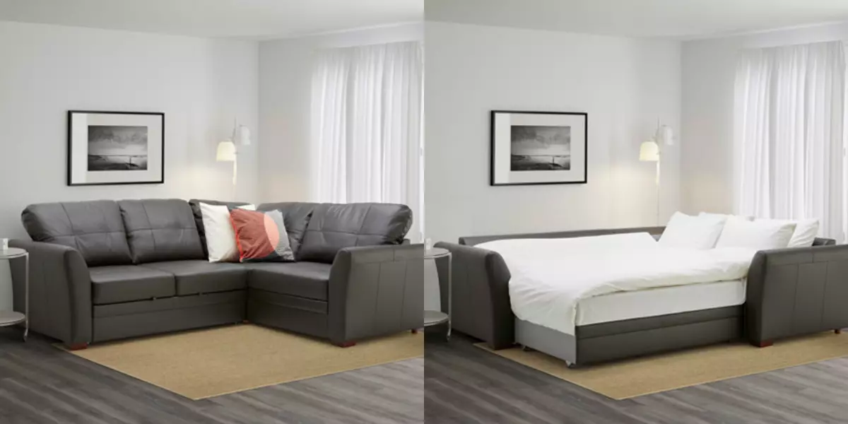 Sofa bed sa loob ng isang maliit na disenyo ng larawan ng apartment