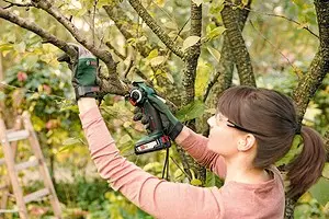 Come portare fuori le piante da giardino: una recensione della tecnologia moderna 10965_1