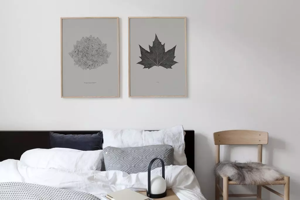 Plant drawing print sa posters sa interior decor.