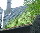 Moss ant stogo: ką daryti? 11011_2
