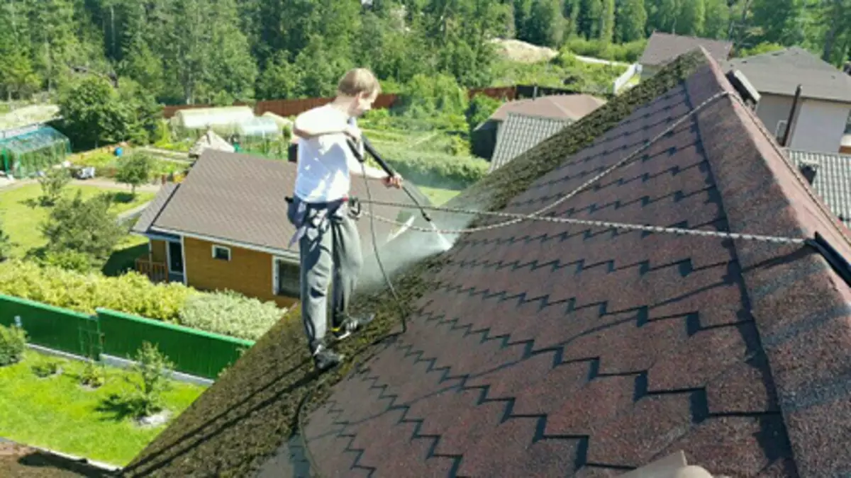 Mos op het dak