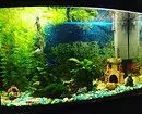 Hoe te versieren aquarium: 40 interessante opties 11014_15