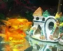 Hoe te versieren aquarium: 40 interessante opties 11014_18