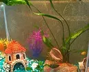 Conas a aquarium a mhaisiú: 40 rogha spéisiúla 11014_19