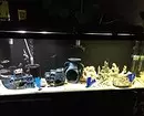 Aquarium çawa Decorate: 40 Vebijarkên balkêş 11014_21