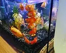 Hoe te versieren aquarium: 40 interessante opties 11014_23