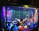 Hoe te versieren aquarium: 40 interessante opties 11014_37