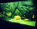 Hoe te versieren aquarium: 40 interessante opties 11014_39