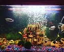 Hoe te versieren aquarium: 40 interessante opties 11014_41