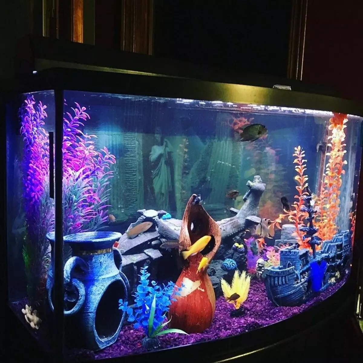 Hoe te versieren aquarium: 40 interessante opties 11014_45