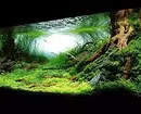 Come decorare Aquarium: 40 Opzioni interessanti 11014_51