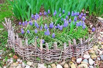 How to decorate the flowerbed: 50 original ideas 11050_47