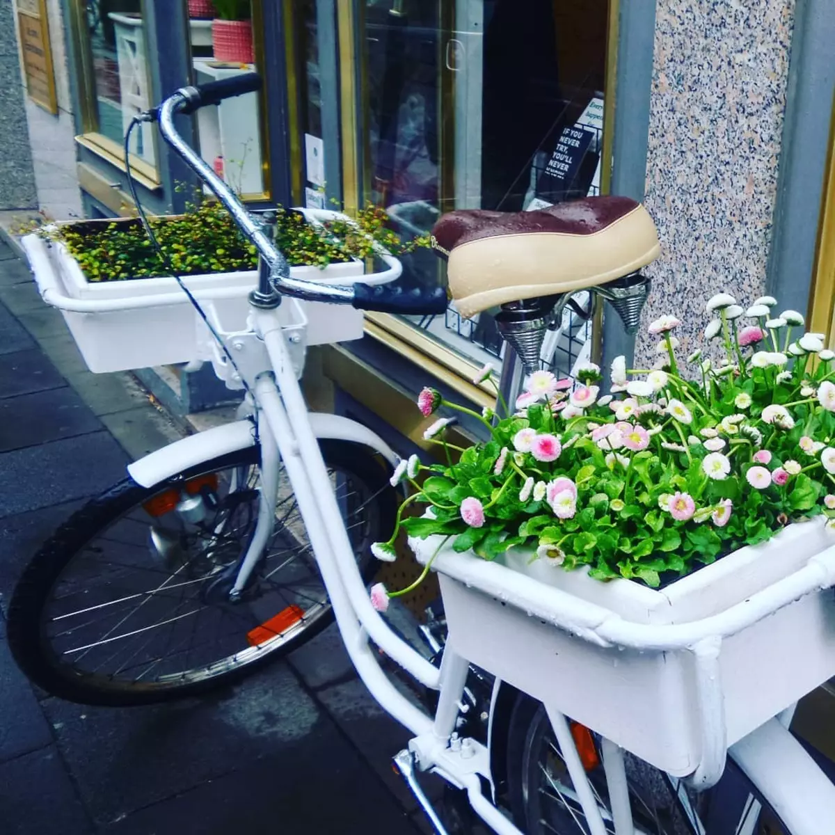 Bicicleta de flores