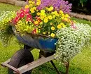 How to decorate the flowerbed: 50 original ideas 11050_54