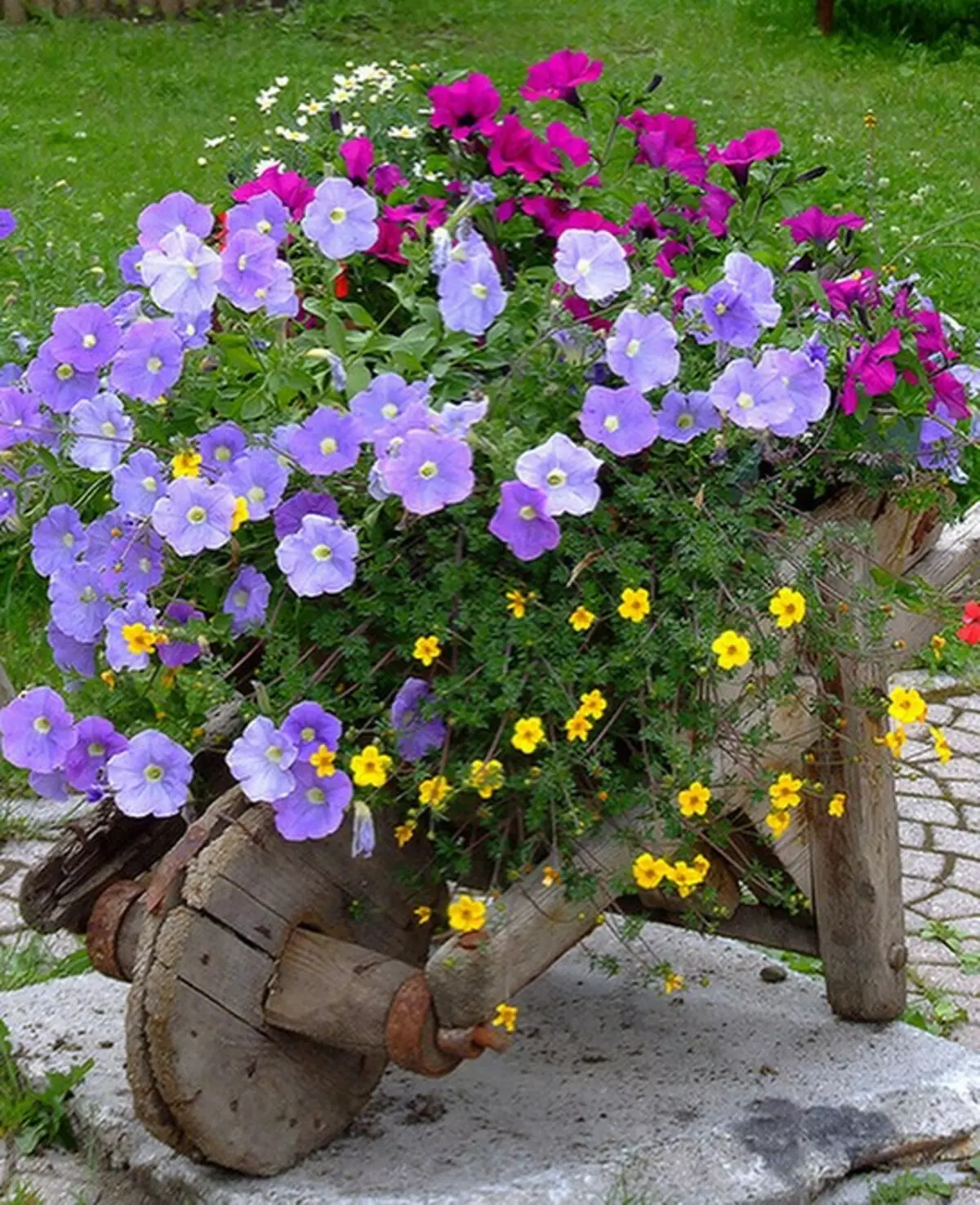 How to decorate the flowerbed: 50 original ideas 11050_60