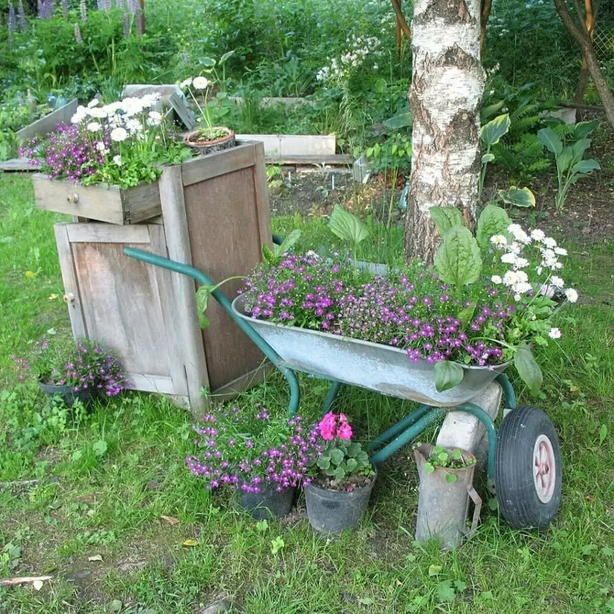 Flowerbed nasıl dekore edilir: 50 orijinal fikir 11050_61