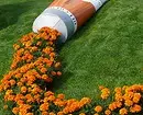 Como decorar o canteiro de flores: 50 ideias originais 11050_72