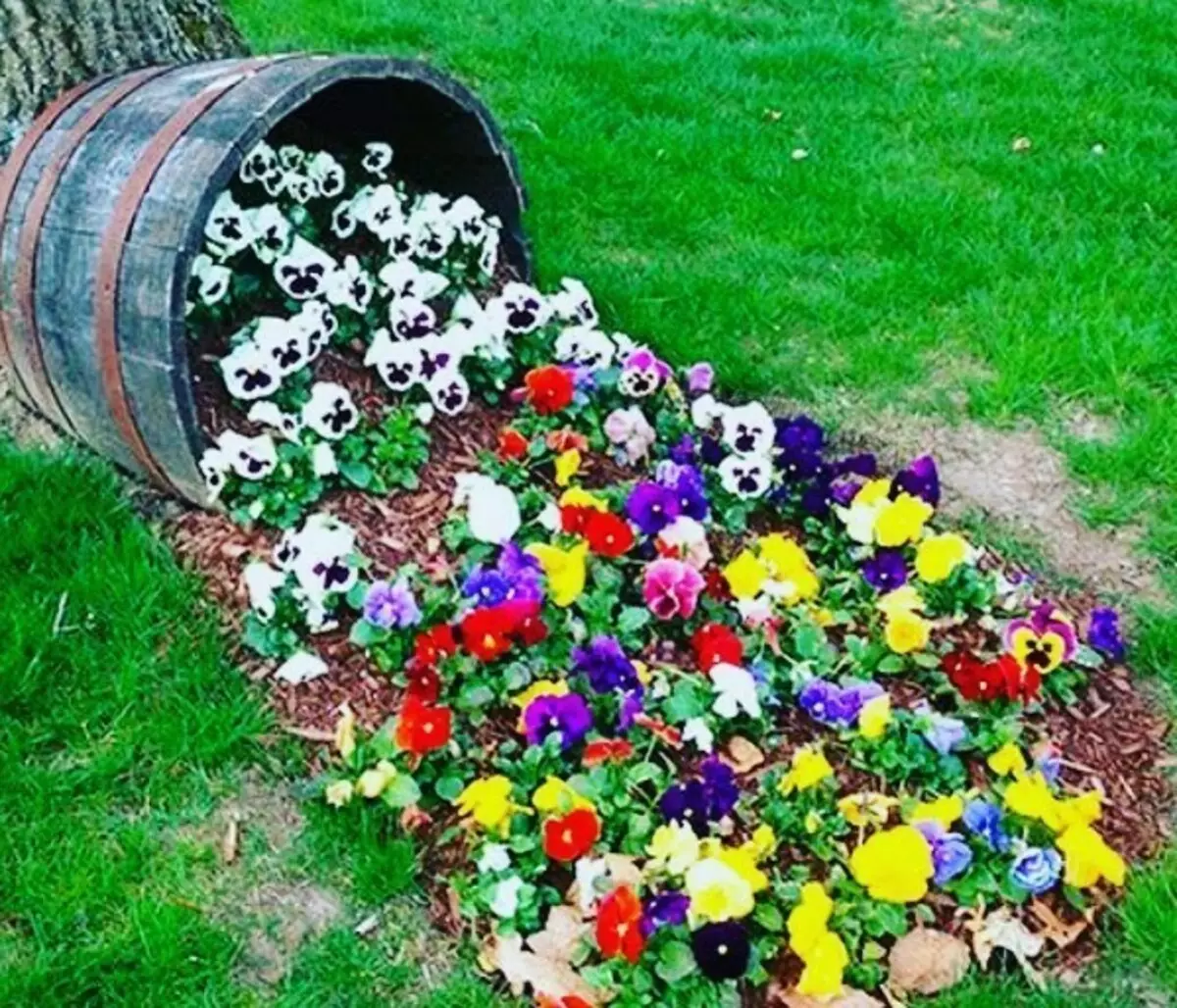 Како украсити цветове: 50 оригиналних идеја 11050_74