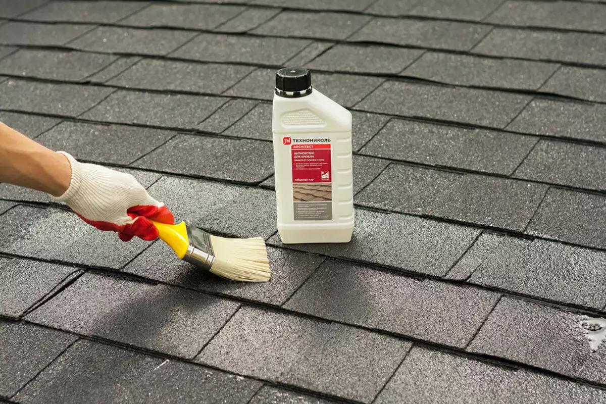 Kako ohraniti streho v odličnem stanju?