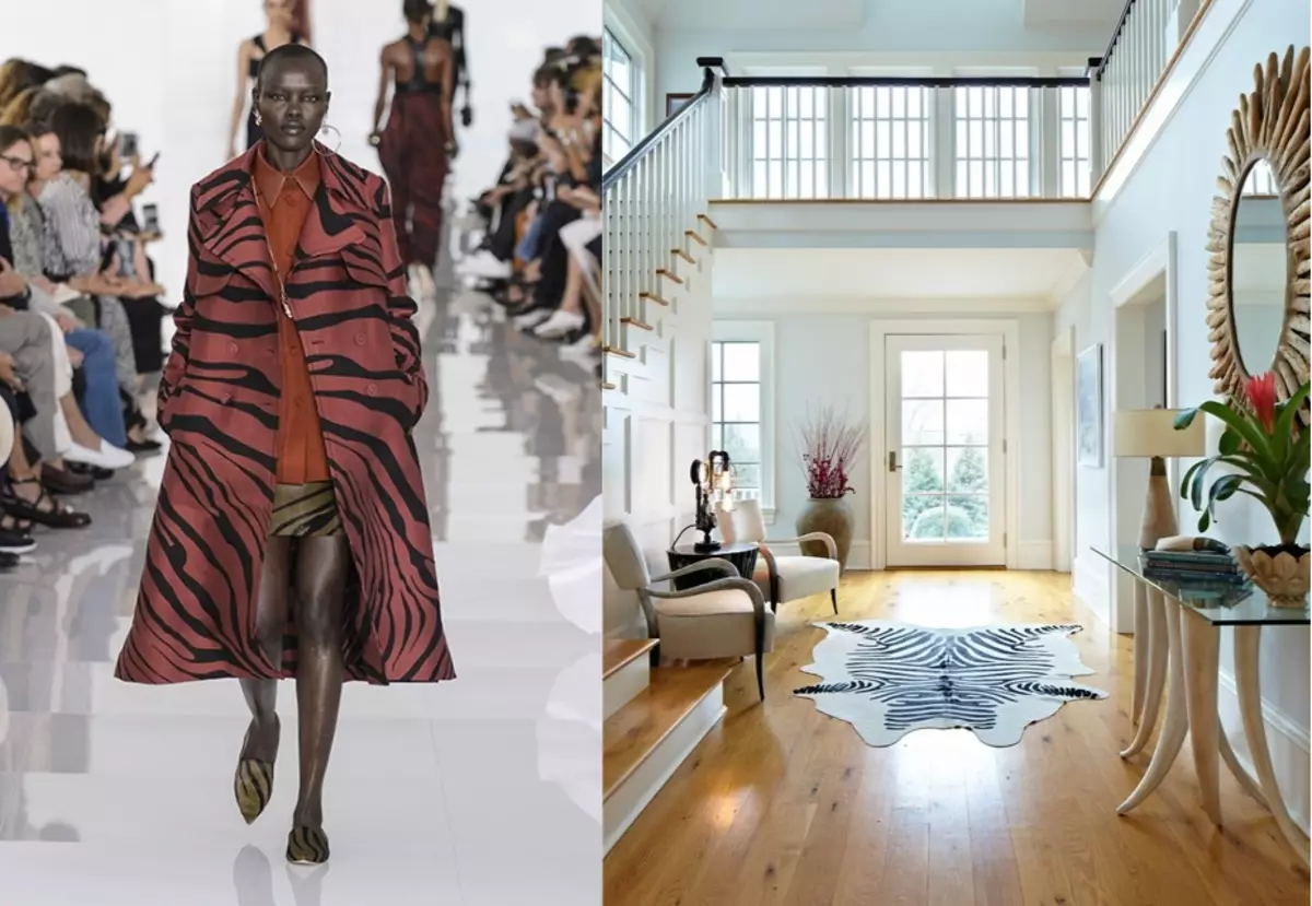 Zebra în modă și interior