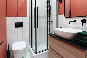 Ce que tuiles choisir pour une petite salle de bain: Conseils et 60 photos 11192_1