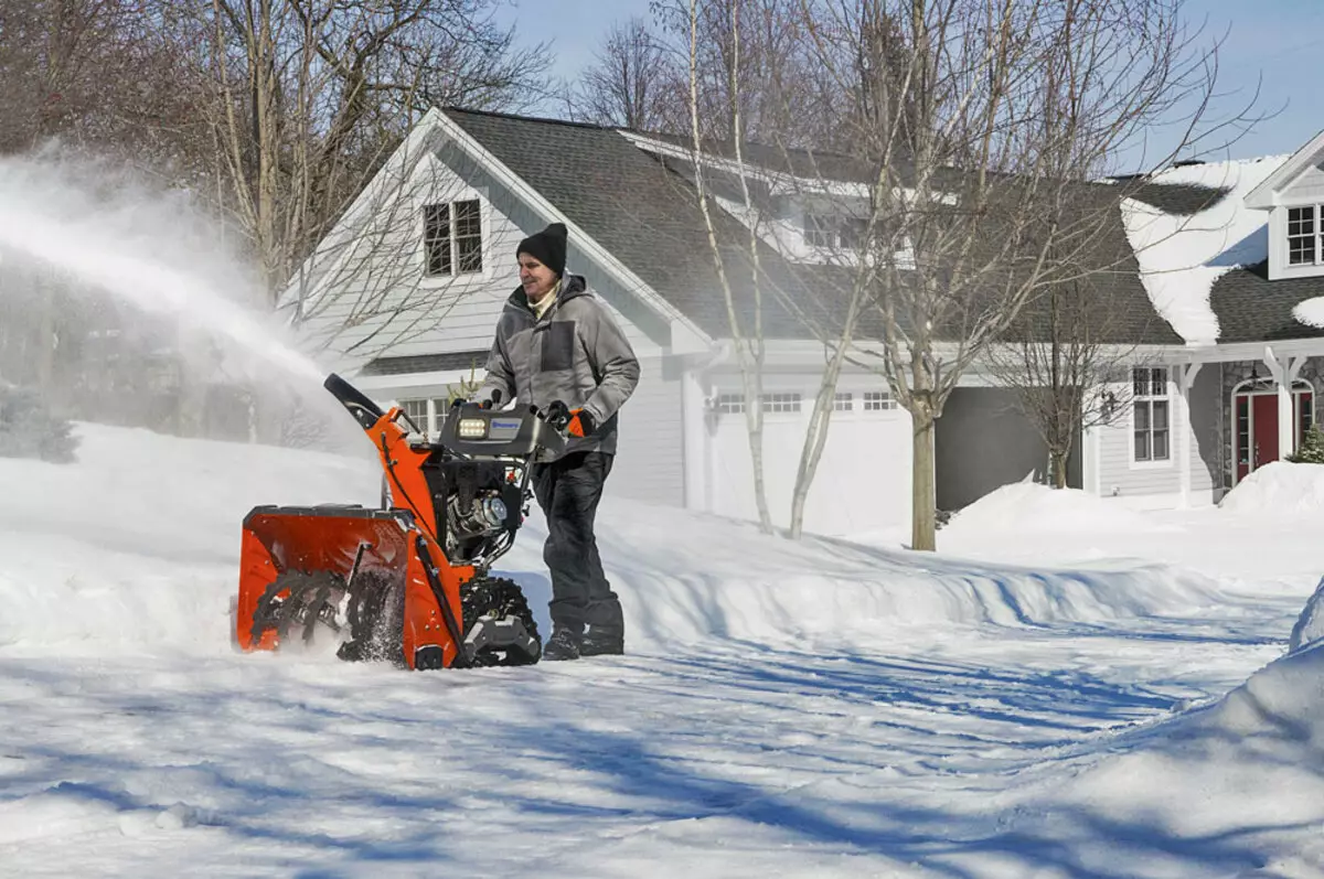 ダチャでの雪の勇気