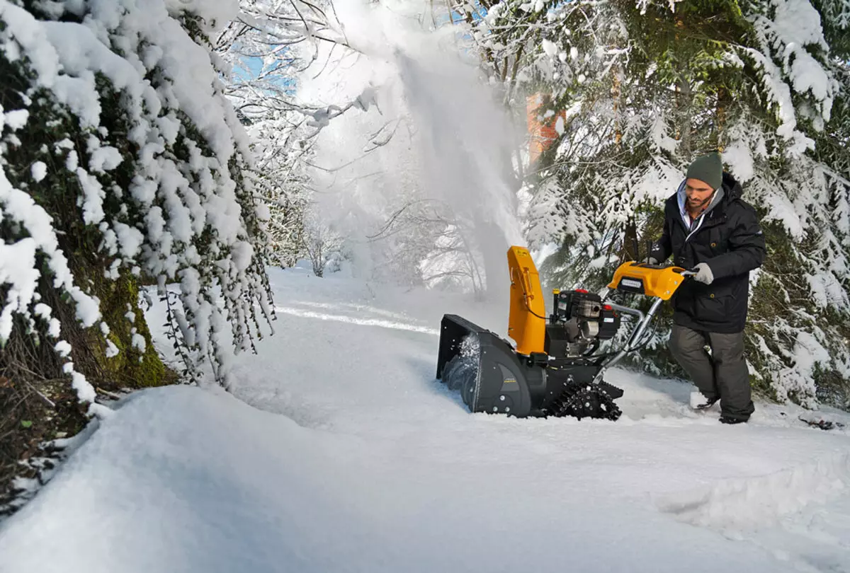 Courage de neige à la dacha