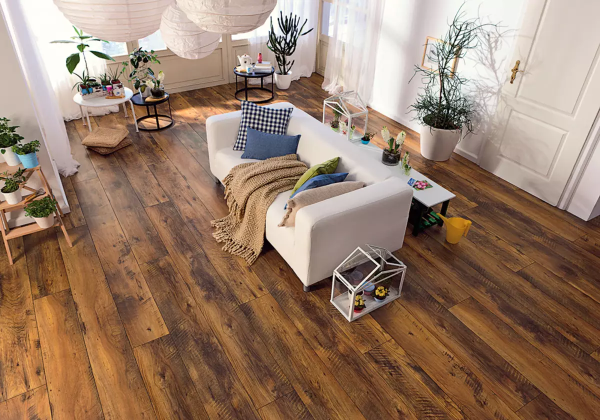 Ofoofogia le laminate