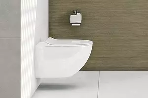 Anong toilet ang pipiliin: panlabas o naka-mount? 11320_1