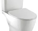 Anong toilet ang pipiliin: panlabas o naka-mount? 11320_11