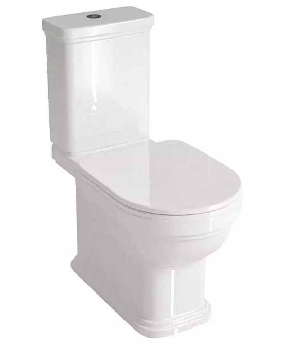 Anong toilet ang pipiliin: panlabas o naka-mount? 11320_12
