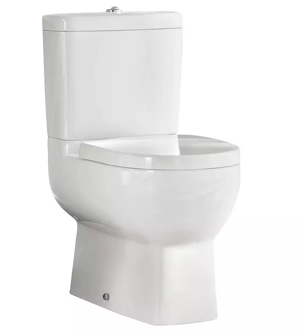 Anong toilet ang pipiliin: panlabas o naka-mount? 11320_13
