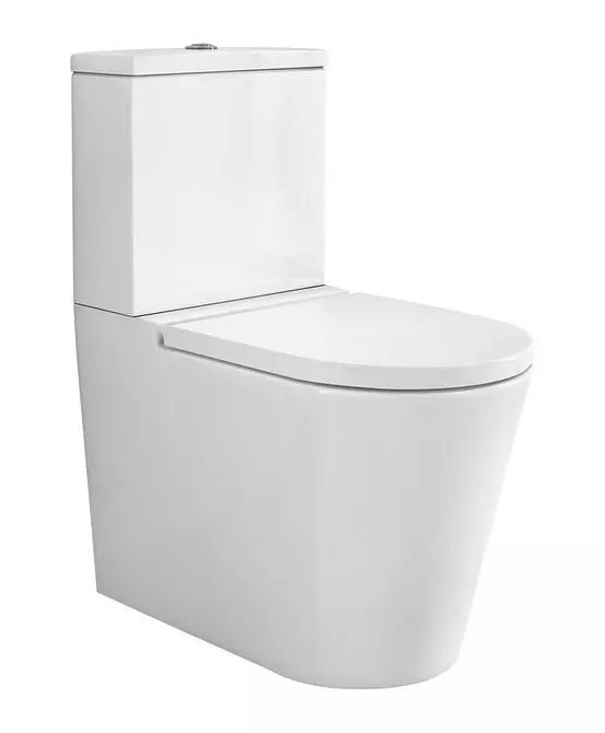 Anong toilet ang pipiliin: panlabas o naka-mount? 11320_15