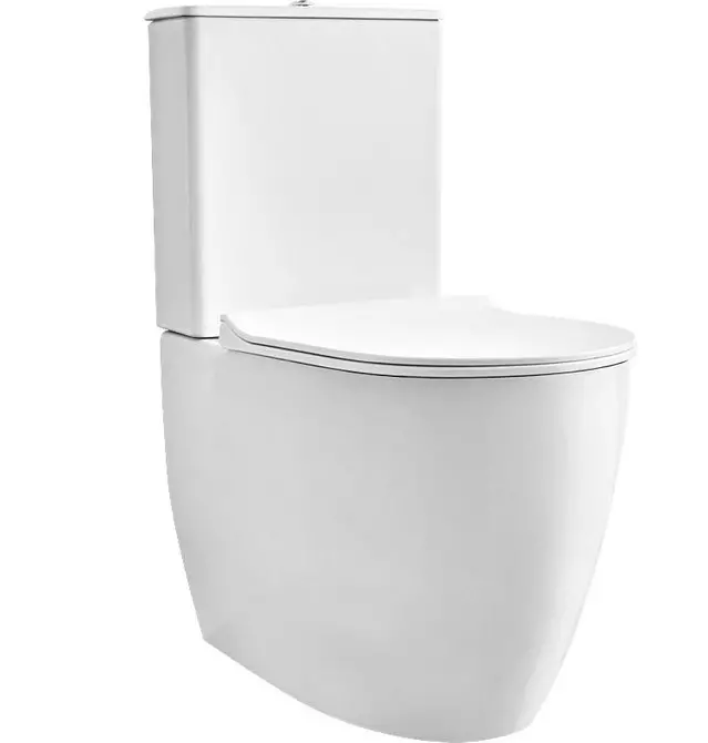 Anong toilet ang pipiliin: panlabas o naka-mount? 11320_16