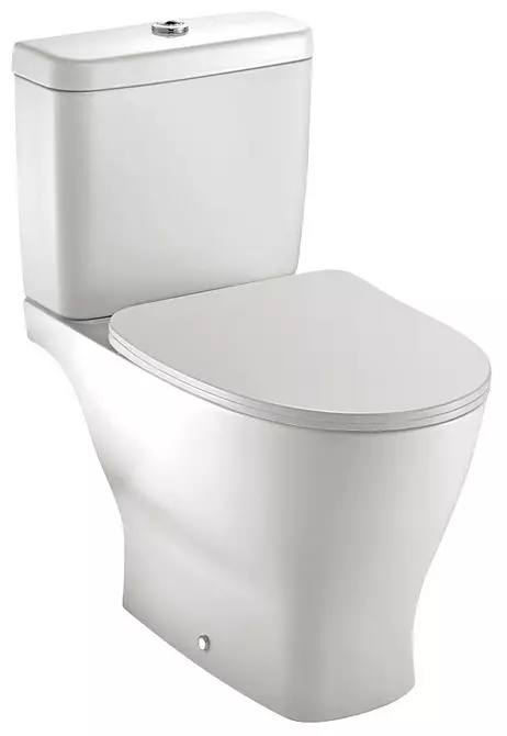 Anong toilet ang pipiliin: panlabas o naka-mount? 11320_17