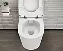Anong toilet ang pipiliin: panlabas o naka-mount? 11320_19