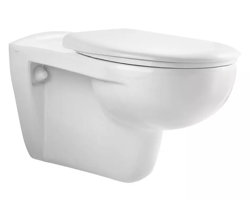Anong toilet ang pipiliin: panlabas o naka-mount? 11320_30