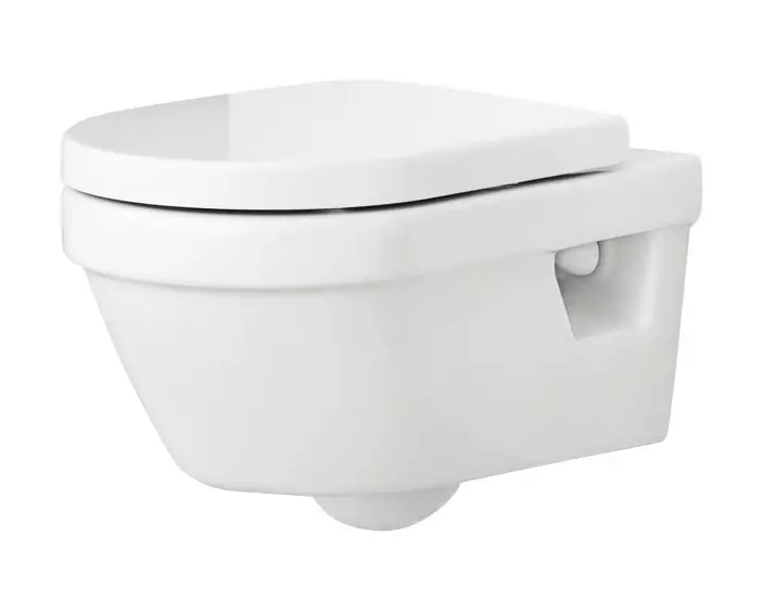 Anong toilet ang pipiliin: panlabas o naka-mount? 11320_32