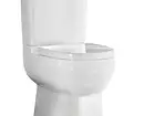 Anong toilet ang pipiliin: panlabas o naka-mount? 11320_7