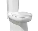 Anong toilet ang pipiliin: panlabas o naka-mount? 11320_8