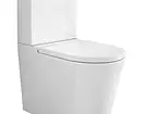 Anong toilet ang pipiliin: panlabas o naka-mount? 11320_9