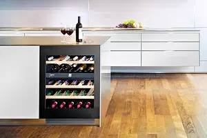 Baro šaldytuvas: modernių modelių apžvalga 11399_1