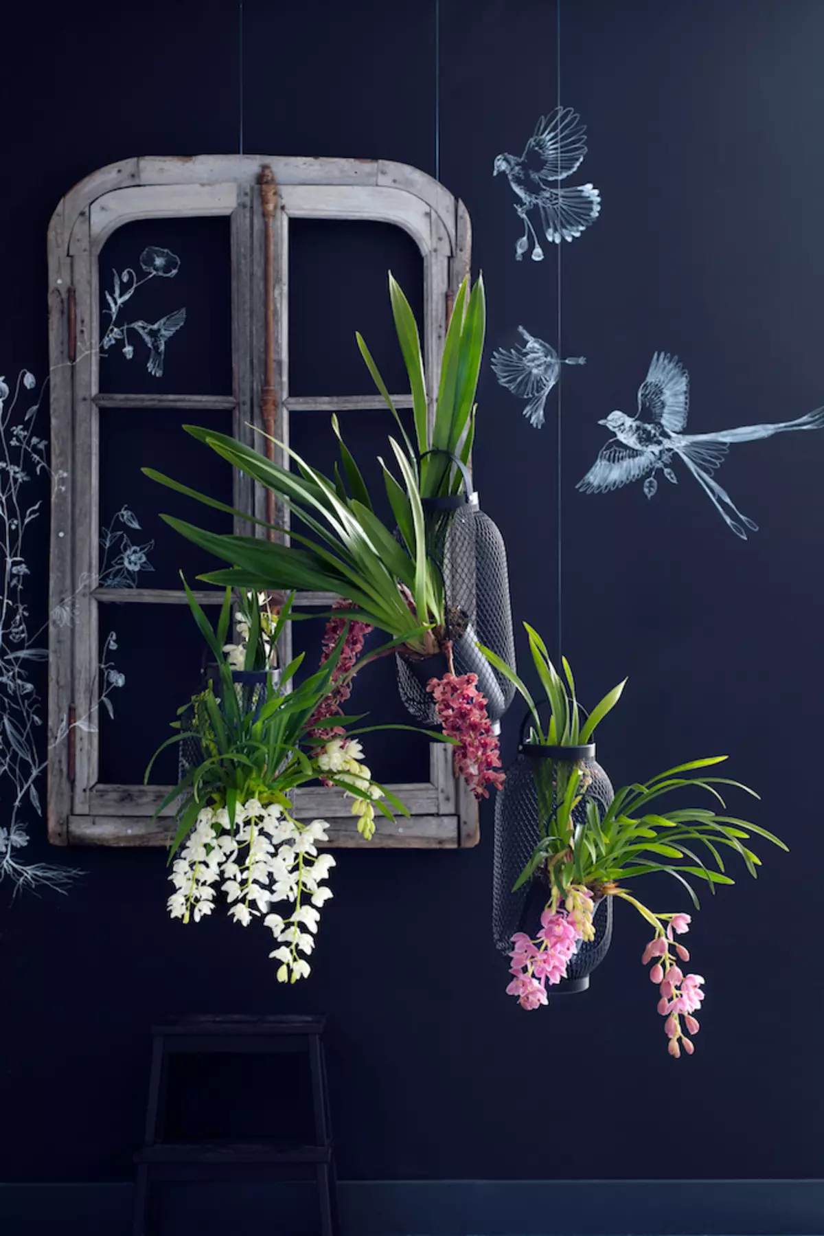 Jak aktualizovat návrh místnosti s orchidejí