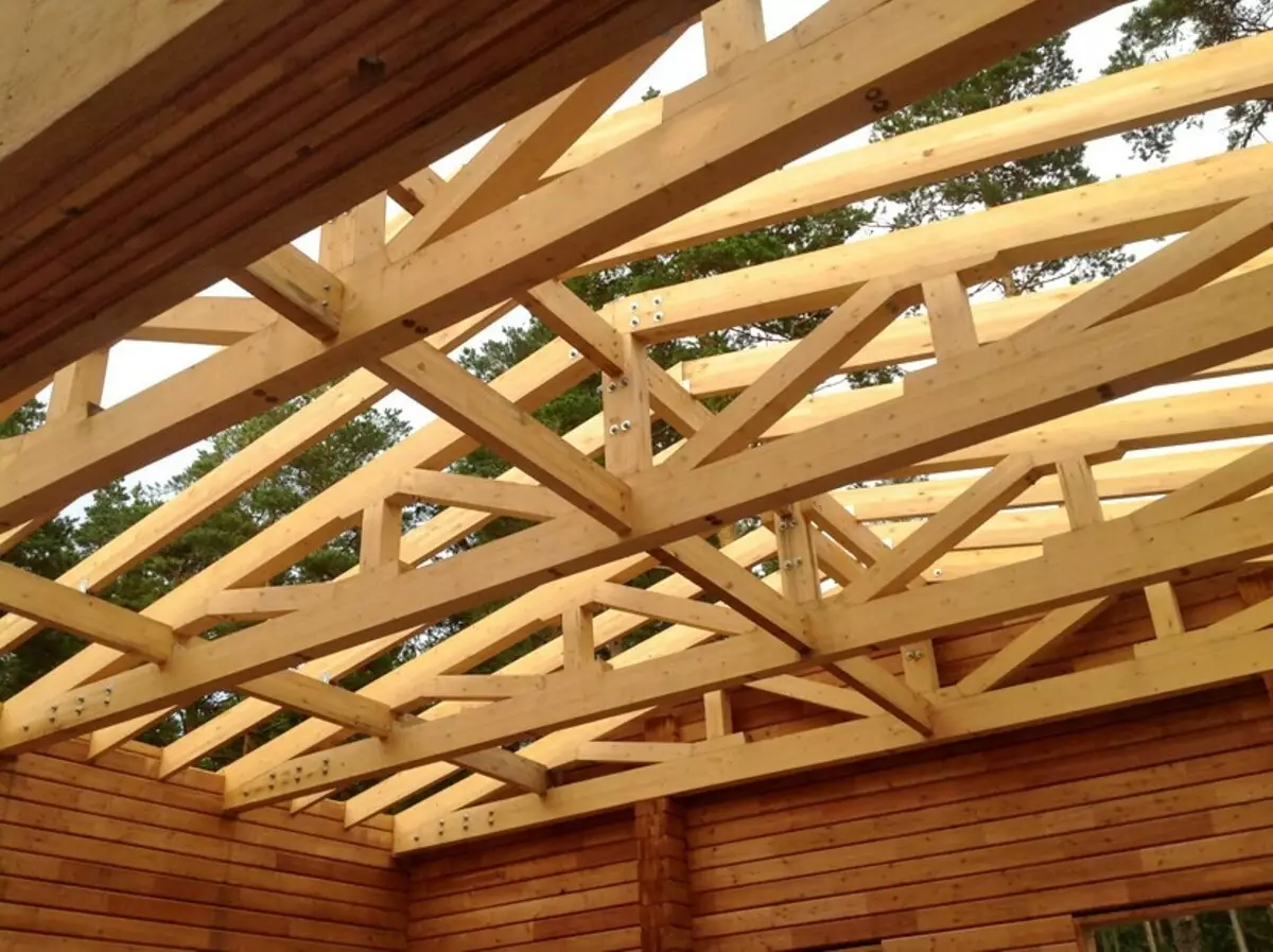 Zgradite področje uporabe strehe brez napak 11549_25